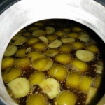 Fruit du labeur, torquée aux pommes et canneberges